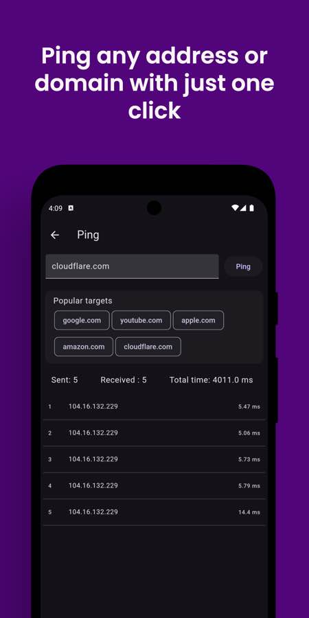 Vernet ping tool checking a website connection