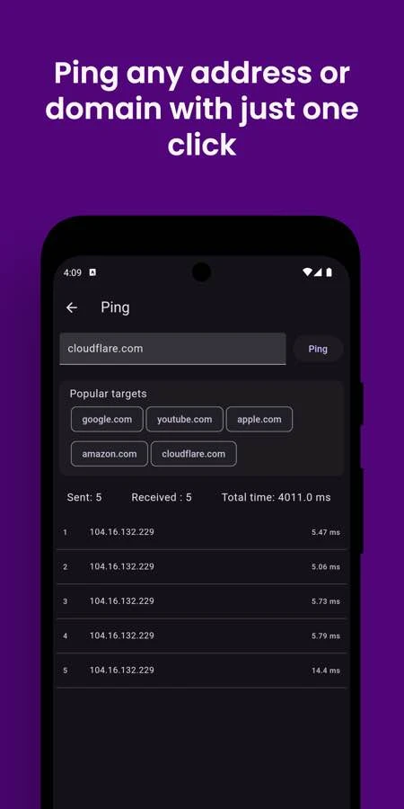 Vernet ping tool checking a website connection